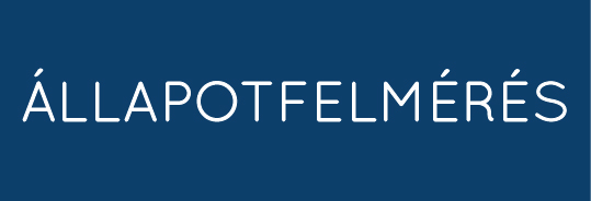 Állapotfelmérés